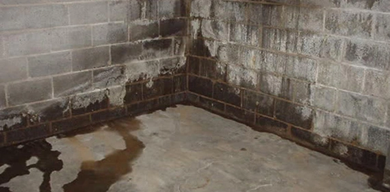 Quick leak basement solutions in Brockville, offering fast and effective waterproofing services.